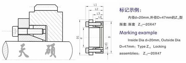 Z13型脹緊聯結套