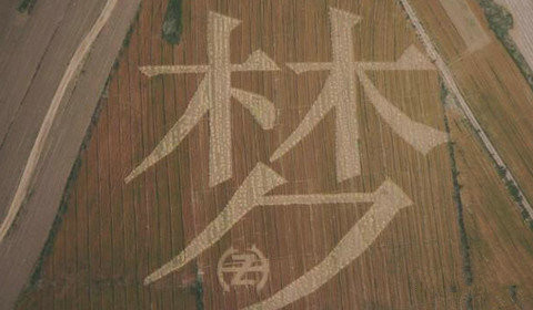 泊頭青年用衛星定位，28畝麥田打造別致的麥