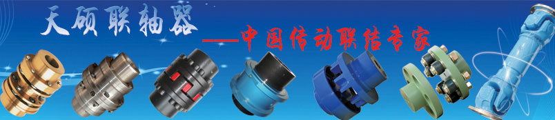 天碩扭矩限制聯軸器的介紹